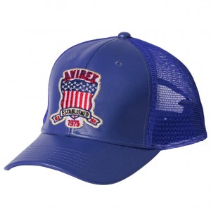 Chapeaux Avirex Icon Trucker Hat Homme Multicolore | AGZDS-3642