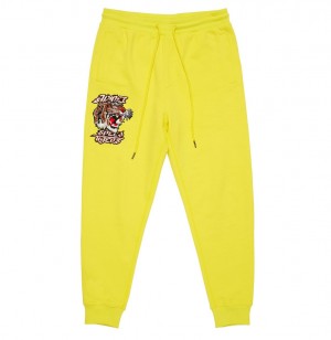 Pantalon Jogging Avirex Tiger Jogger Homme Multicolore | DJBAK-4923