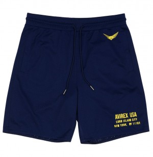 Short Avirex Aviator Mesh Short Homme Bleu | YEBNH-8962