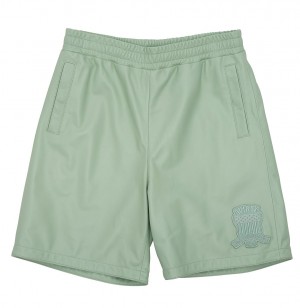Short Avirex Nappa Leather Short Homme Multicolore | QBCWE-7590
