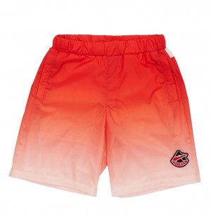 Short Avirex Ombre Short Homme Multicolore | OSRWI-7265