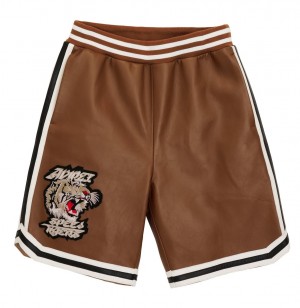 Short Avirex Speed Tiger Leather Short Homme Multicolore | NUGMT-6159