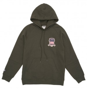 Sweat a Capuche Avirex Icon Hoodie Homme Vert Olive | IYZXF-9738