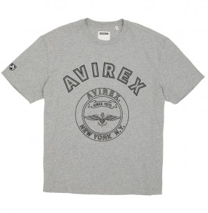 Tees Avirex Stadium Tee Homme Grise | GPZLM-1496