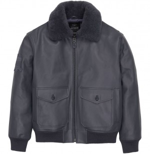 Vestes Avirex G-1 Bomber Jacket Homme Grise | XVMIR-9760